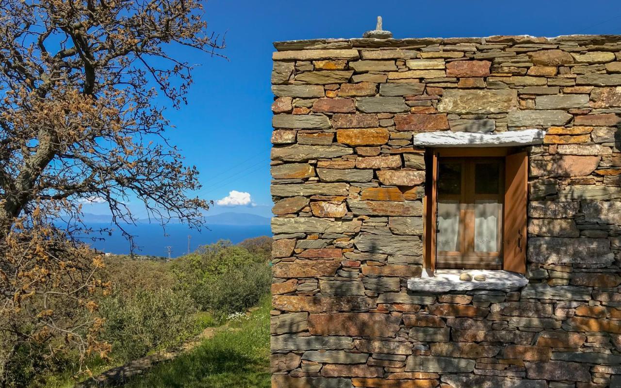 Willa Under Royal Oaks Pera Meria Zewnętrze zdjęcie