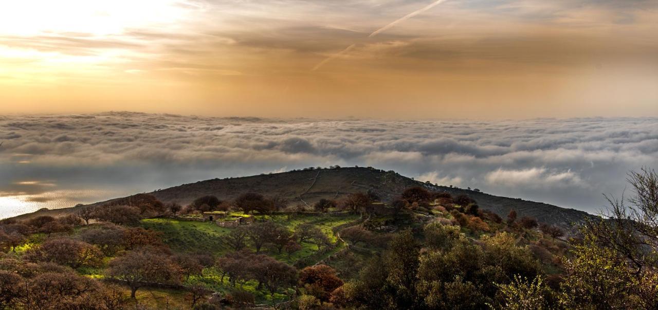 Willa Under Royal Oaks Pera Meria Zewnętrze zdjęcie